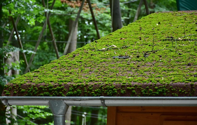 Hilton Head Island Aluminum Gutters: Nurturing a Thriving Community
