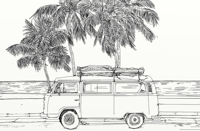 Shuttle Van