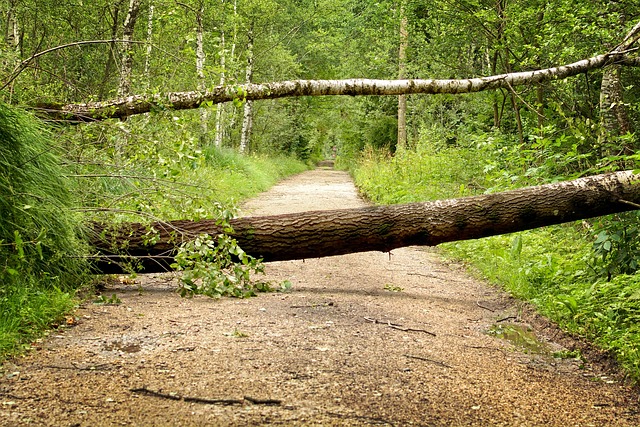Storm Damage Gutters