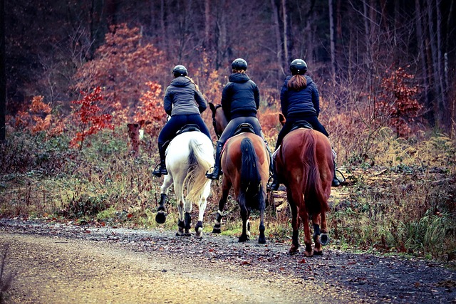 Terminal Ride