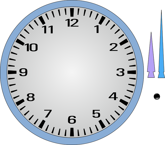 24 Hour Shuttle