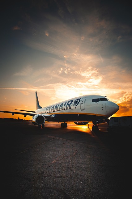 Airport Shuttle