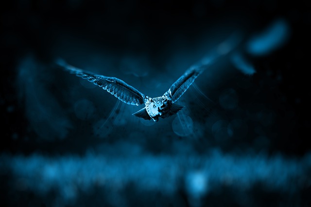 Flight Connection