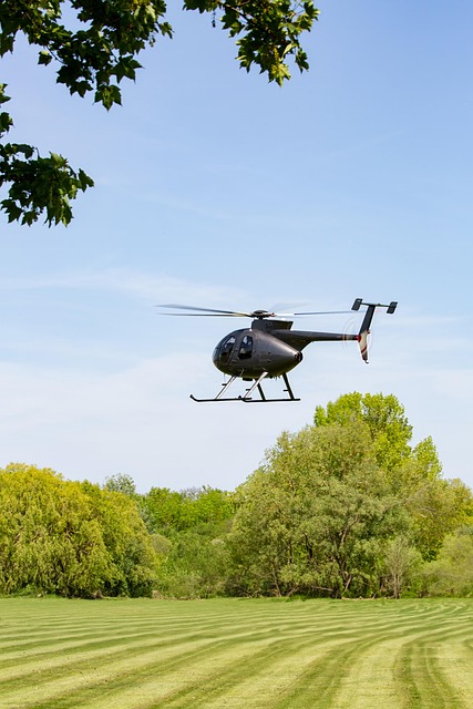 Bluffton Airport Transfer: Trust in Seamless Shuttle Service