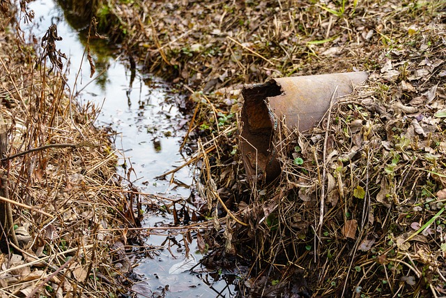 Gutter Drainage Issue