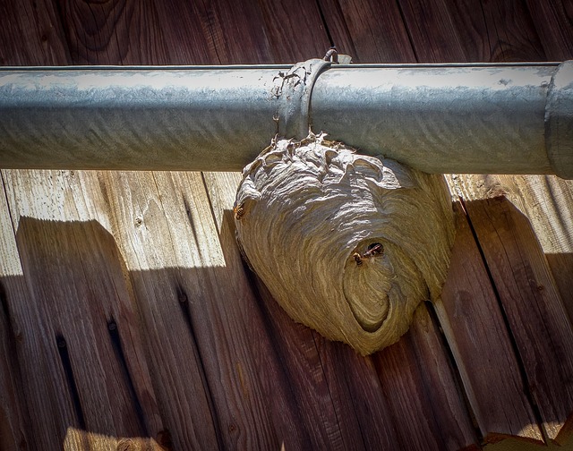Gutter Fastening