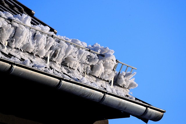 Gutter Guards