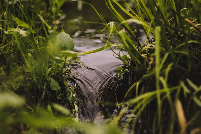 Gutter Water Flow