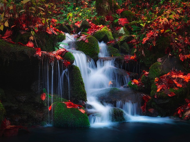 gutter-water-flow-640x480-85078174.jpeg
