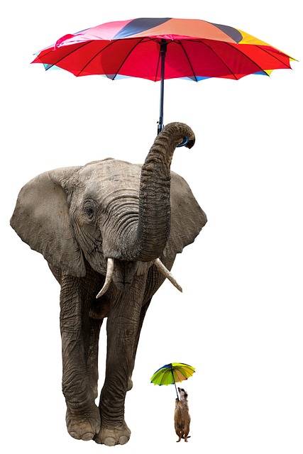 hilton-head-rain-protection-640x480-39944087.jpeg