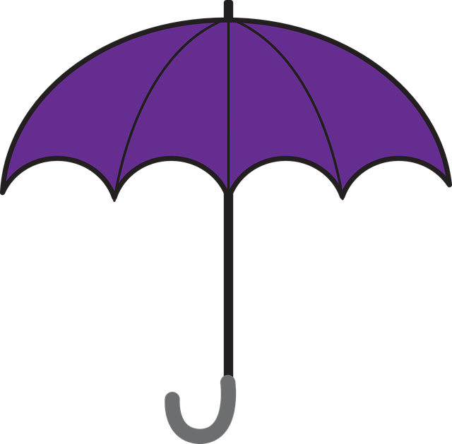 Hilton Head Rain Protection