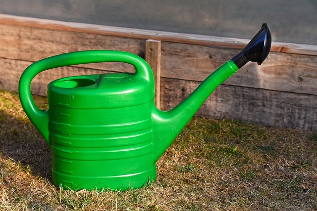 lawn-care-640x480-32837220.jpeg