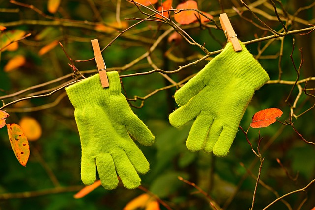 leaf-protection-640x480-43140118.jpeg