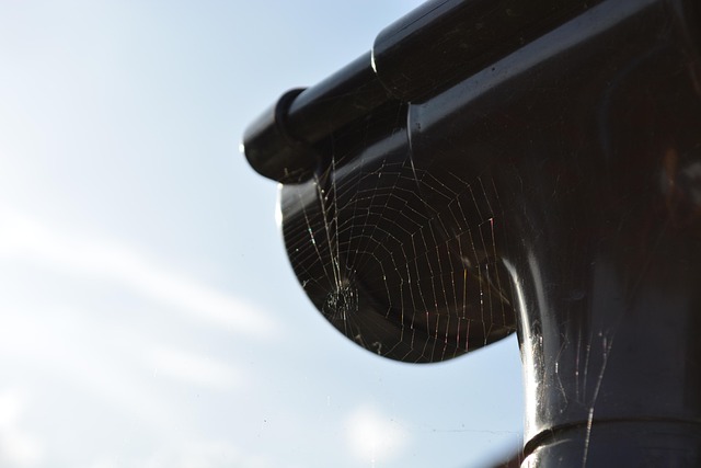 leaky-gutters-640x480-39108614.jpeg