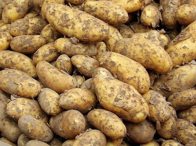 local-food-640x480-45412803.jpeg