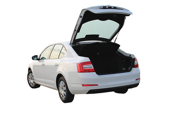 Luggage