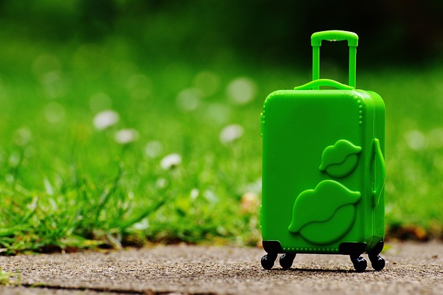 Luggage