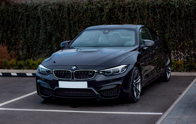 Luxury Transport