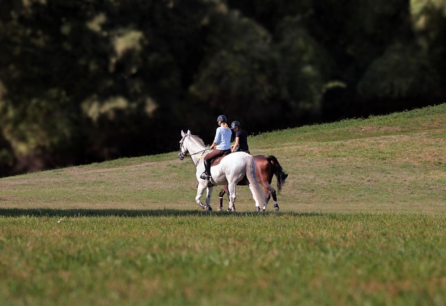 Nearby Ride