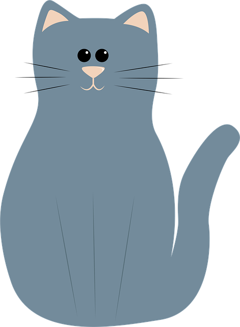 pet-sitting-640x480-27317091.png