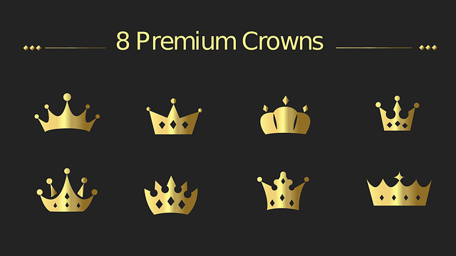 Premium Shuttle