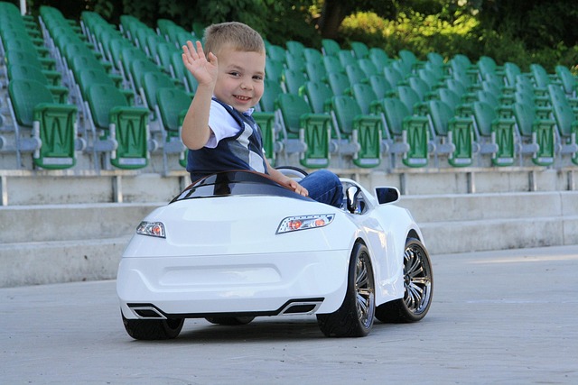pro-driver-640x480-2593200.jpeg