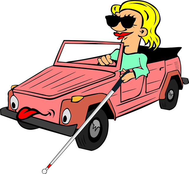 pro-driver-640x480-81690382.png