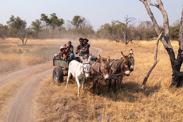 Round-the-Clock Transport
