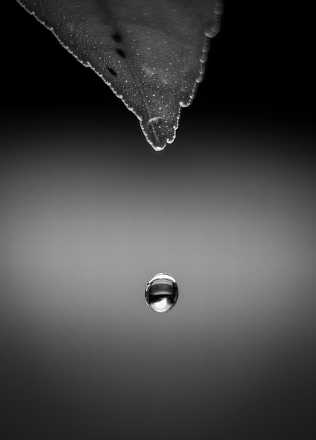 SAV Drop-Off
