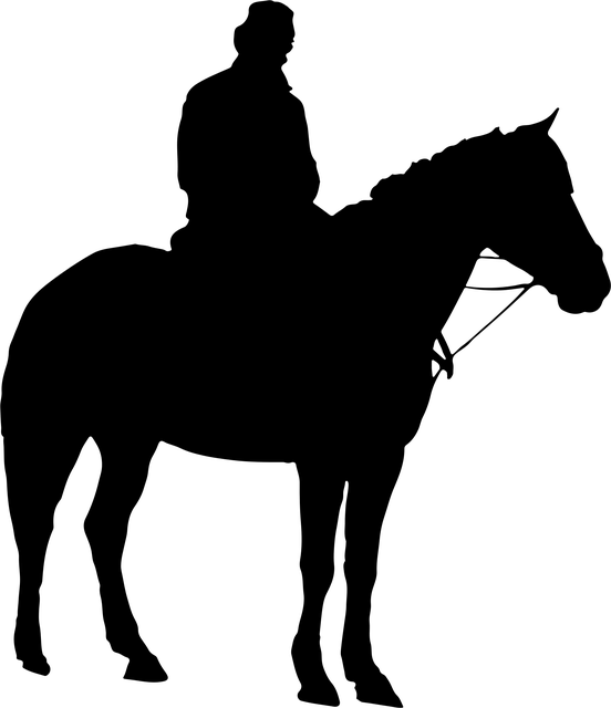 sav-ride-640x480-18970682.png