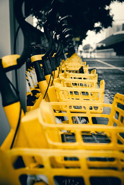 SAV Transport