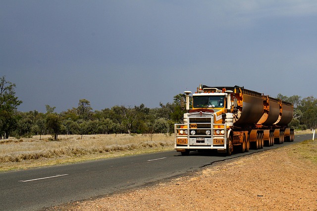 SAV Transport