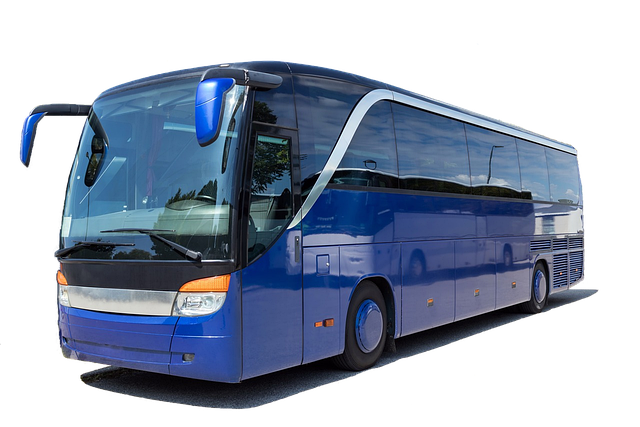 Savannah Transport