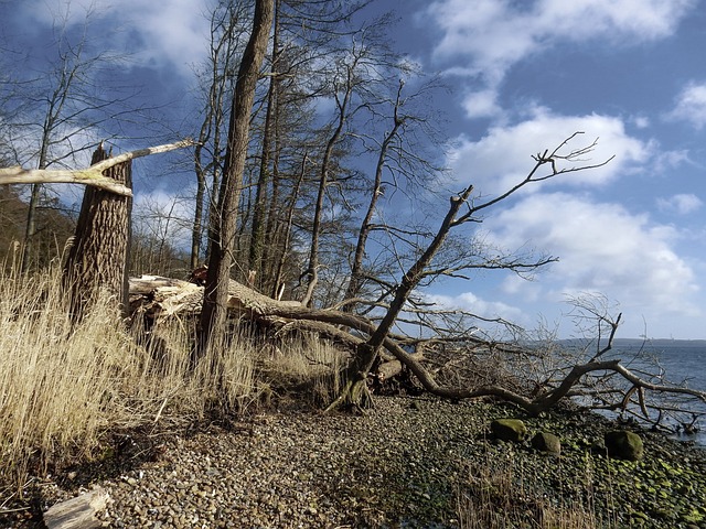 Storm Damage Gutters