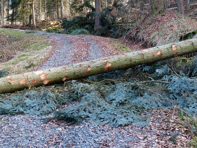 Storm Damage Gutters