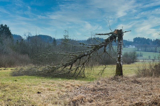 storm-damage-gutters-640x480-98864446.jpeg