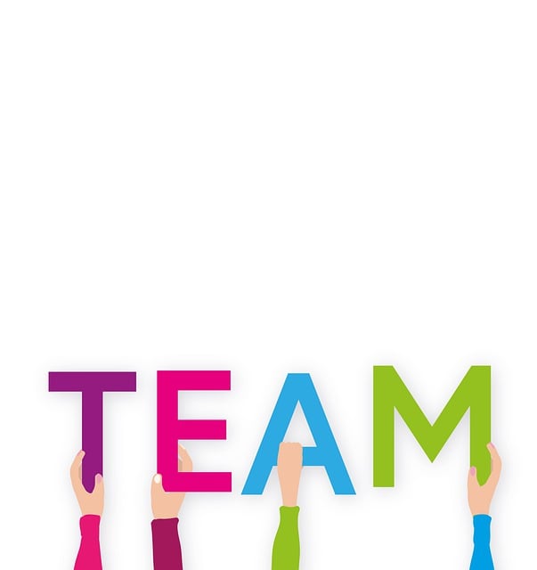 Team Shuttle