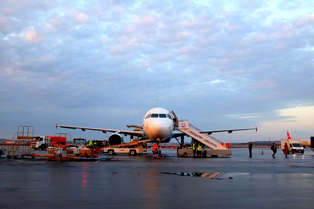 Terminal Transport