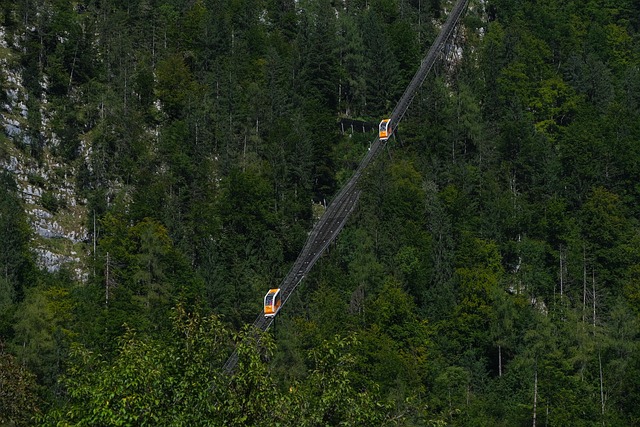 Transport Shuttle
