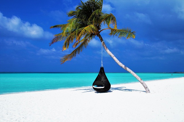 Vacation