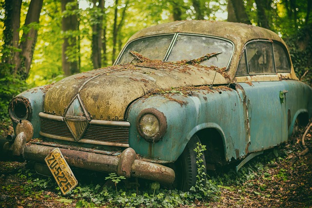 Airport Car