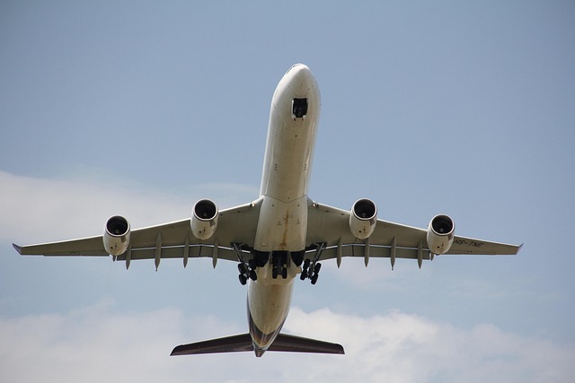 airport-travel-640x480-11656694.jpeg
