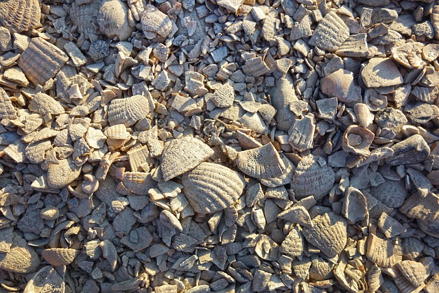 driveway-shuttle-640x480-96136680.jpeg