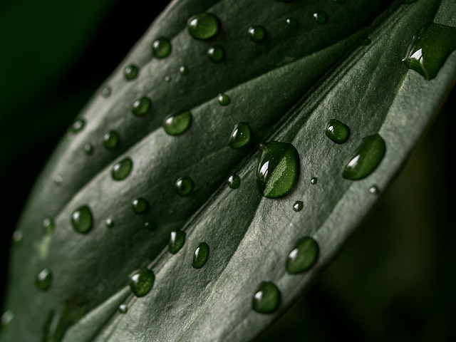 drop-off-640x480-68020737.jpeg