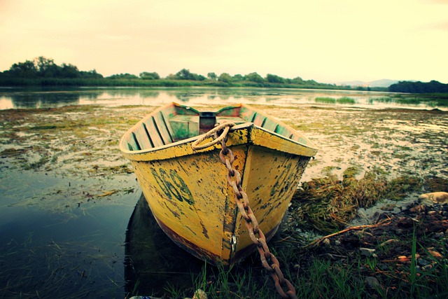 Stop Hilton Head Gutter Leaks: Quick Repairs & Long-Term Solutions