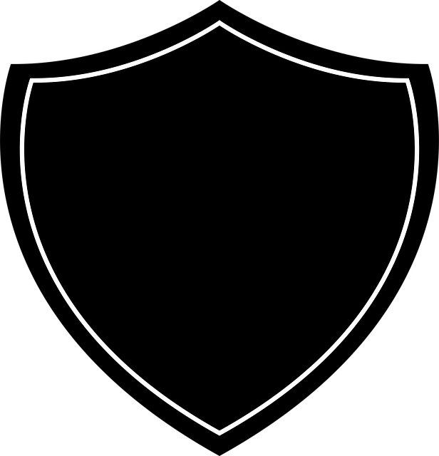 Gutter Shields