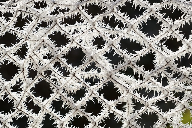 Hilton Head Gutter Mesh