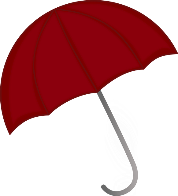 Hilton Head Rain Protection