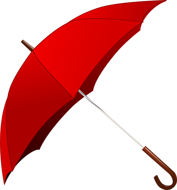 Hilton Head Rain Protection