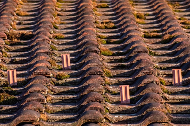 Hilton Head Roof Drainage